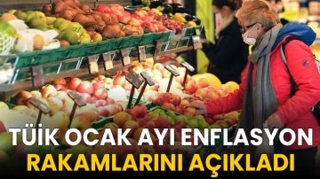 T&Uuml;İK Ocak Ayı Enflasyon Rakamlarını A&ccedil;ıkladı