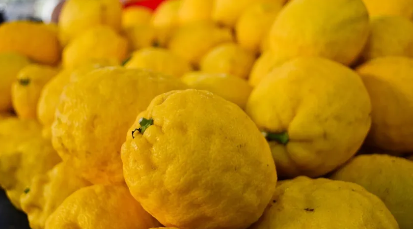 Ocak ayında 31,4 milyon dolarlık limon ihraç edildi