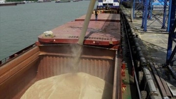 Odesa Limanı'ndan tahıl yüklü ilk gemi yola çıktı