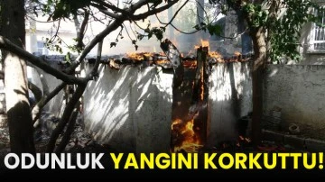 Odunluk yangını korkuttu!