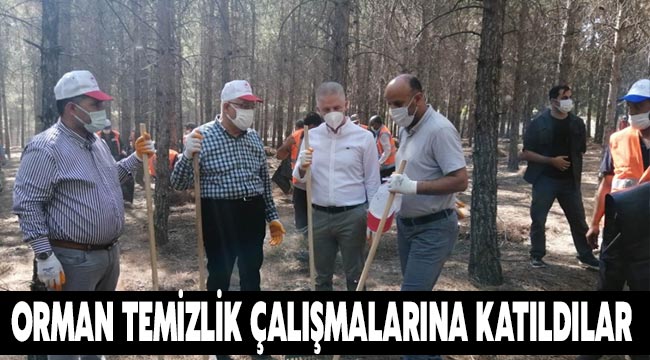 Orman temizlik çalışmalarına katıldılar