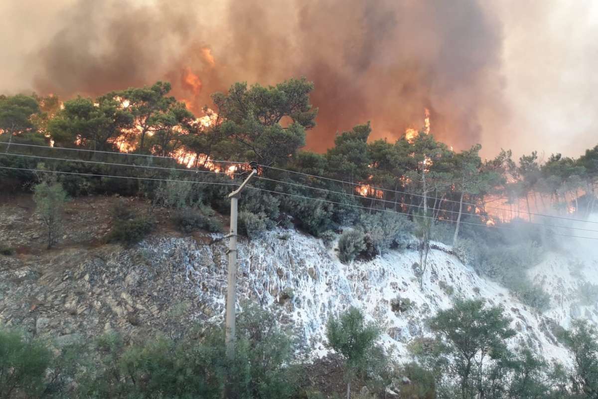 Orman yangını çıkarmak için gelen PYD/PKK'lı 2 terörist yakalandı