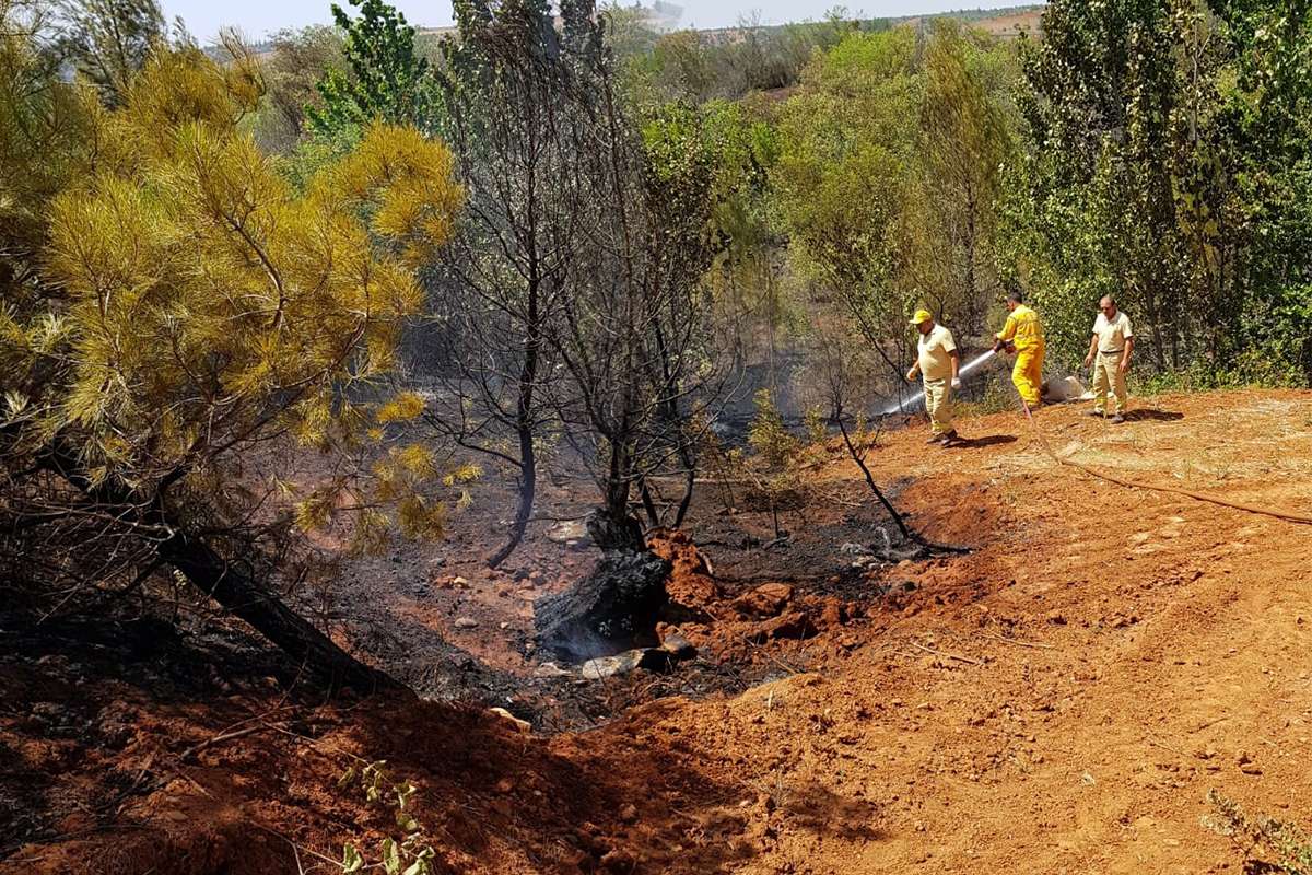 Orman yangınında kundaklama iddiası