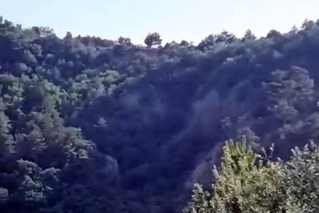 Ormanda yürüyüş yaparken 200 metrelik uçuruma düştü