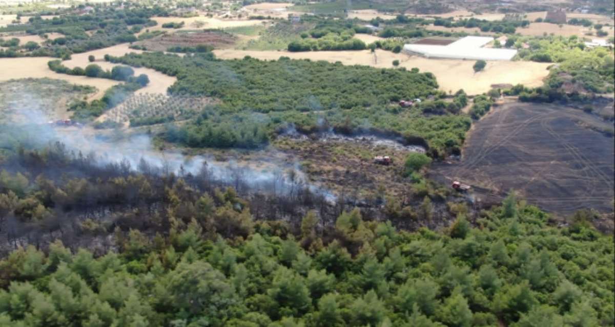 Ormanlık alanda çıkan yangın 10 dönüm arpa ekili alanı küle çevirdi