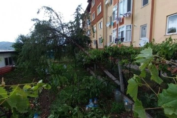 Osmancık’ı fırtına ve sağanak vurdu: Çatılar uçtu, ağaçlar söküldü, caddeler göle döndü
