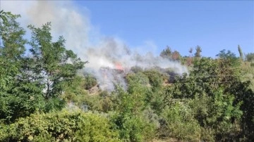 Osmaniye Düziçi'nde çıkan orman yangını kontrol altına alındı