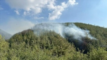 Osmaniye'deki orman yangını kontrol altına alındı