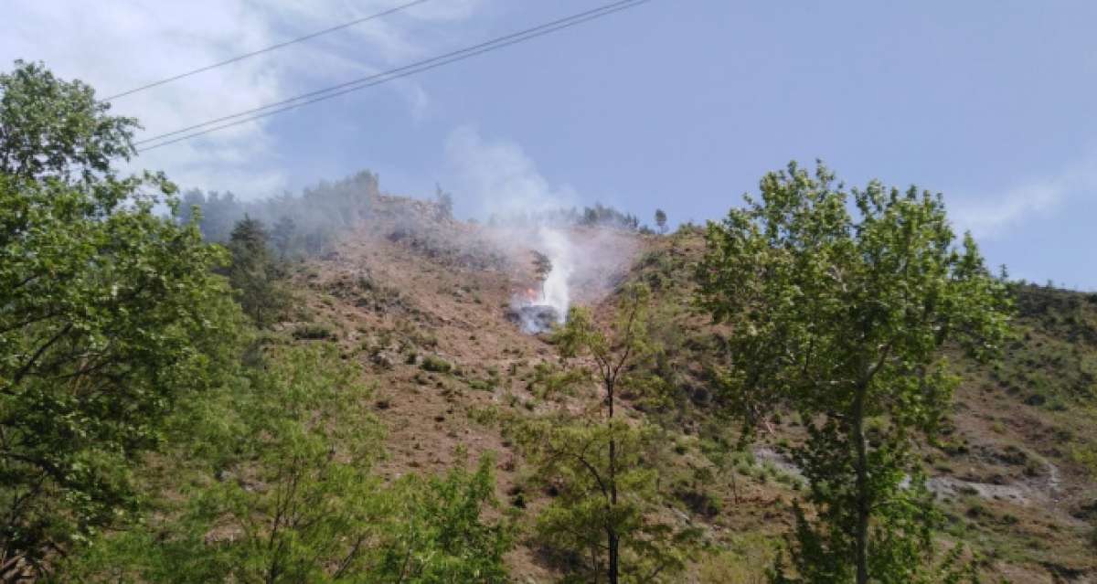 Osmaniye'deki orman yangını söndürüldü