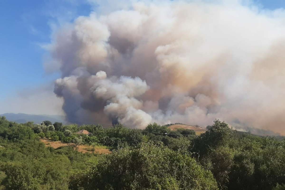 Osmaniye'deki orman yangını