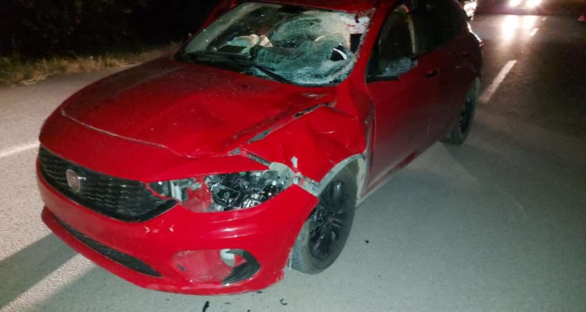Otomobil ahırdan kaçan ata çarptı: Sürücü yaralandı, at telef oldu