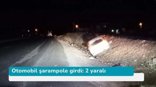 Otomobil şarampole girdi: 2 yaralı