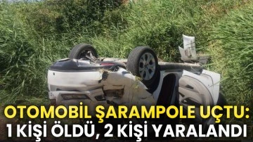 Otomobil şarampole uçtu: 1 kişi öldü, 2 kişi yaralandı