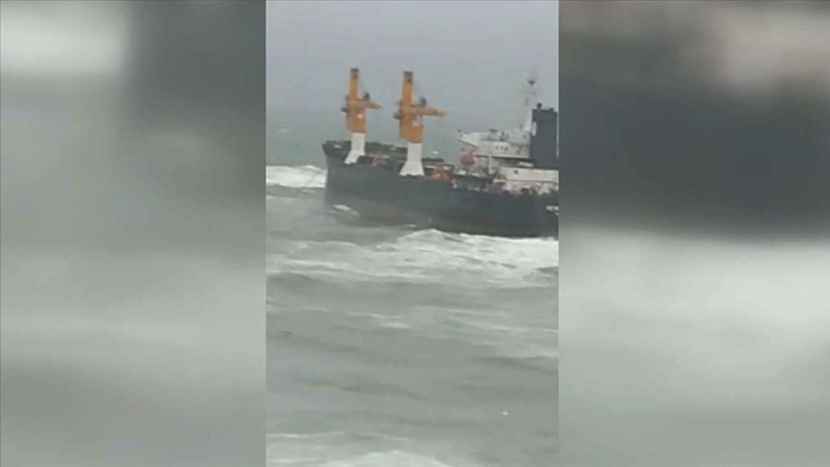 Panama bandıralı kargo gemisi Beykoz açıklarında karaya oturdu