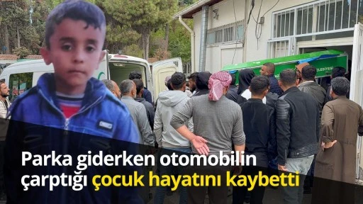 Parka giderken otomobilin çarptığı çocuk hayatını kaybetti