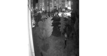 Parktaki bankı çalan hırsızlar kameraya yakalandı