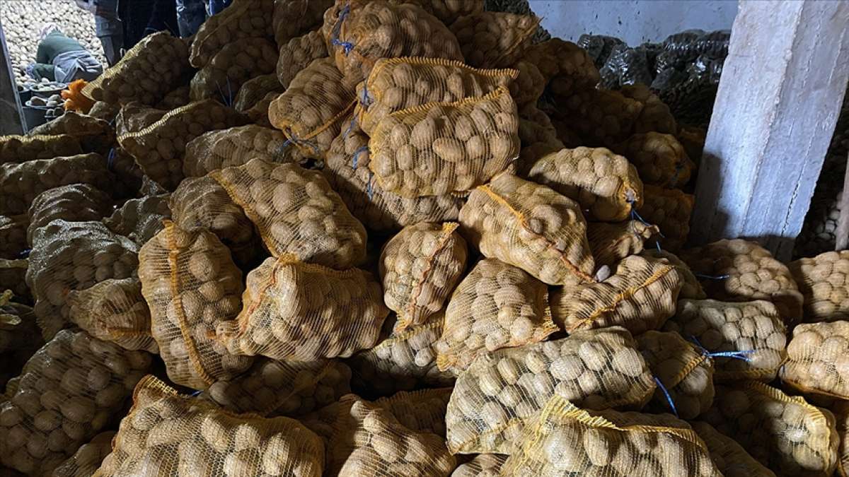 Patates alımı yapılan Niğdeli çiftçiler, Cumhurbaşkanı Erdoğan'a teşekkür etti