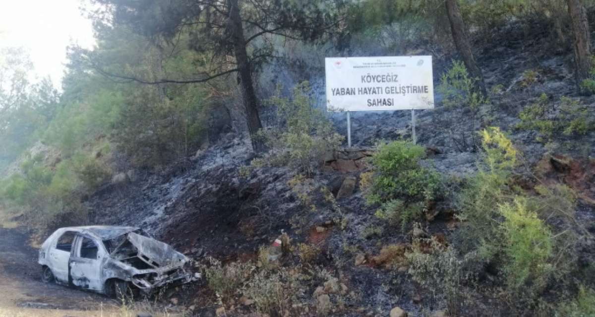 Patlayan araç orman yangınına sebep oldu