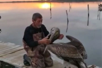 Pelikanla balıkçının dostluğu