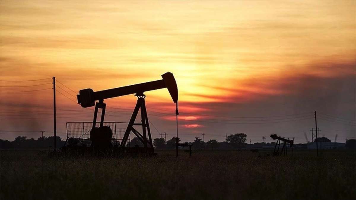 Petrol fiyatlarındaki düşüş, OPEC+ ülkelerini üretim kesintilerinde 'temkinli' olmaya zorl