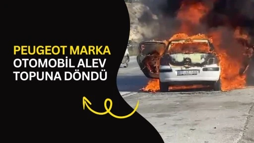 Peugeot marka otomobil alev topuna d&ouml;nd&uuml;