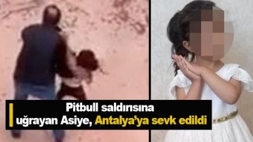 Pitbull saldırısına uğrayan Asiye, Antalya’ya sevk edildi