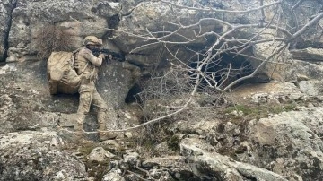 PKK'nın sözde Ağrı Dağı sorumlusunun da aralarında olduğu 11 terörist etkisiz hale getirildi
