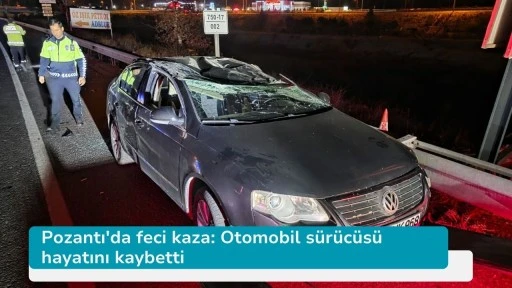Pozantı'da feci kaza: Otomobil sürücüsü hayatını kaybetti