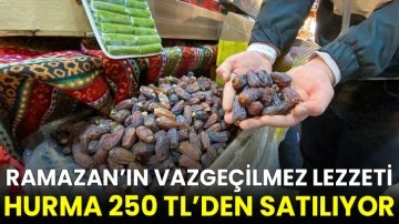 Ramazan’ın vazgeçilmez lezzeti hurma 250 TL’den satılıyor