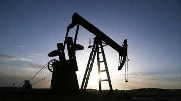 Rusya Başbakan Yardımcısı Novak: Rus petrolünde indirim riskler nedeniyle arttı