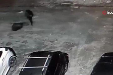 Rusya'da vahşet!:Başını kestiği kadının cesedini bavulla taşıyarak boş araziye attı