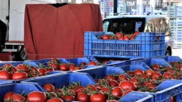 Rusya'nın ''domates'' kararı Türkiye'nin ihracat rakamlarına olumlu ya