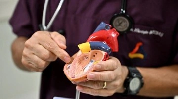 Sağ kalp kapağı yetmezliği yeni uygulanan anjiyo yöntemiyle tedavi edilebiliyor