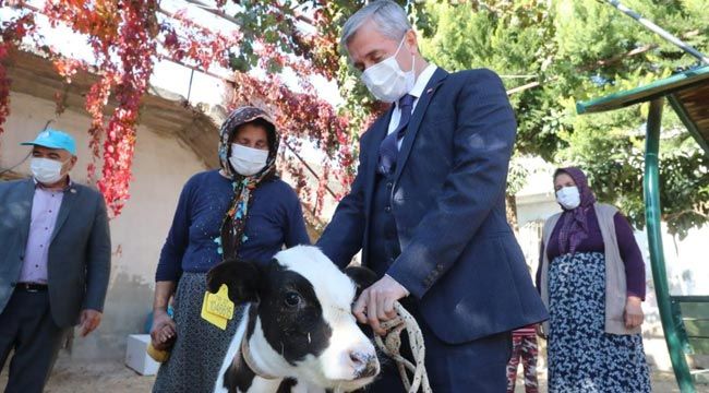 Şahinbey Belediyesi hayvan yetiştiricilerini destekliyor