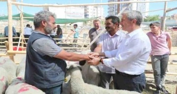 Şahinbey’de kurban satış ve kesim yerleri belirlendi