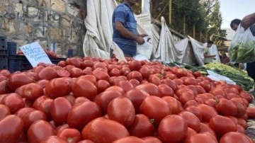 Salçalık domates ve biberler tezgahlarda