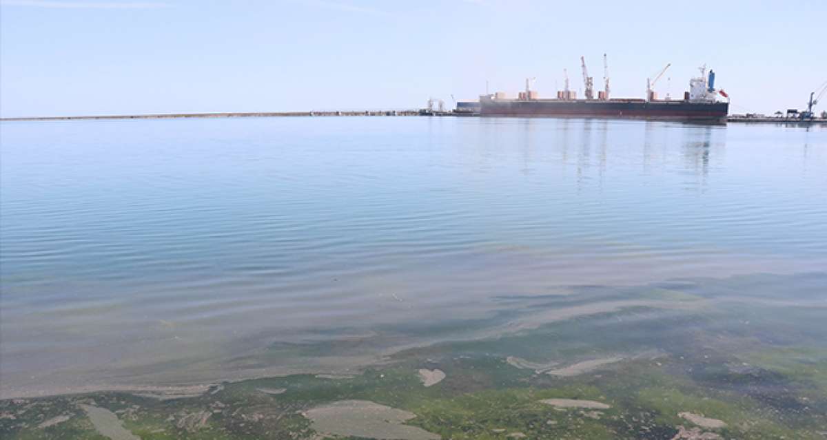 Samsun Limanı'nda tedirgin eden kirlilik: Gözler gemilerde