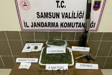 Samsun’da 5,1 kilo kubar esrar ve 4 bin kök kenevir bitkisi ele geçirildi: 15 gözaltı