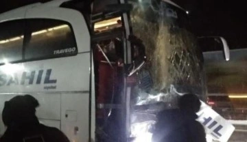 Samsun'da yolcu otobüsü, TIR'a çarptı: 1'i polis 15 yaralı
