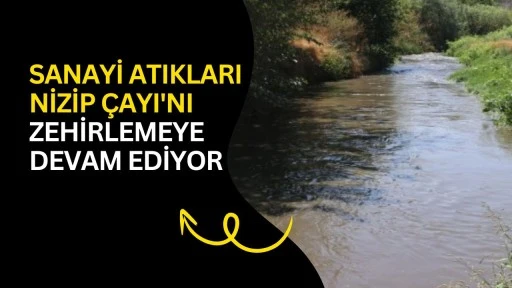 Sanayi atıkları Nizip &Ccedil;ayı'nı zehirlemeye devam ediyor