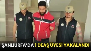 Şanlıurfa’da 1 DEAŞ üyesi yakalandı