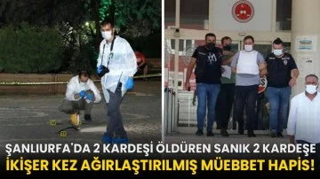 Şanlıurfa'da 2 kardeşi öldüren sanık 2 kardeşe ikişer kez ağırlaştırılmış müebbet hapis!