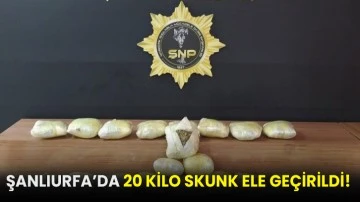 Şanlıurfa’da 20 kilo skunk ele geçirildi!