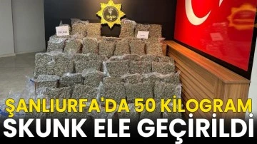 Şanlıurfa'da 50 kilogram skunk ele geçirildi