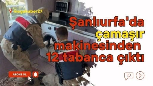 Şanlıurfa'da çamaşır makinesinden 12 tabanca çıktı
