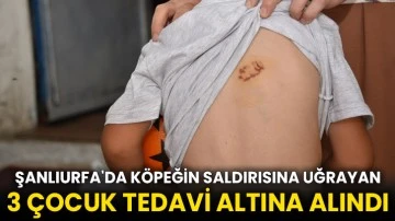 Şanlıurfa'da köpeğin saldırısına uğrayan 3 çocuk tedavi altına alındı
