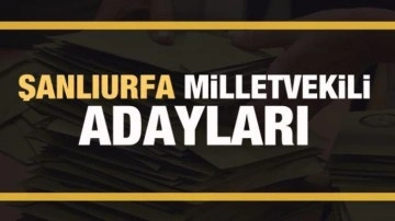 Şanlıurfa milletvekili adayları! PARTİ PARTİ TAM LİSTE