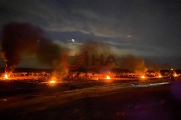 Şanlıurfa'da çiftçiler don olayına karşı ağaçlarını ateş yakarak korudu