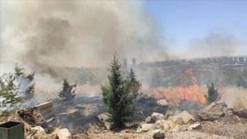 Şanlıurfa'da çıkan orman yangınına müdahale ediliyor