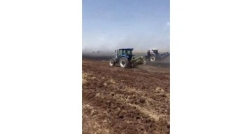 Şanlıurfa’da ekili arazide çıkan yangında 60 dönüm buğday kül oldu